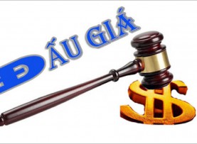Thông báo việc đấu giá đối với danh mục tài sản: QSD 17 lô đất quy hoạch tại vùng Bàu 2, 3 và Làng Chài thuộc xã Thượng Tân Lộc, huyện Nam Đàn