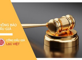 Thông báo việc đấu giá đối với danh mục tài sản: Công trình xây dựng trên đất đã qua sử dụng của bà Đặng Thị Tuyết Liễu, tọa lạc tại ấp Mỹ Đông Nhì, xã Mỹ Thọ, huyện Cao Lãnh, tỉnh Đồng Tháp, gồm: - 01 (một) nhà ở diện tích 98,8 m2, nhà trệt liên kế, vách