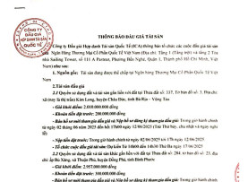 Thông báo đấu giá Danh mục tài sản của Ngân hàng TMCP Quốc tế Việt Nam (VIB)