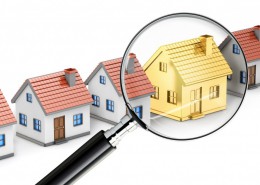 TS hộ ông Trần Văn Bỉnh - Nguyễn Thị Lý, DT 2.594 m2 đất LUC (nằm trong tổng diện tích 3.539,8 m2) và cây trồng trên đất,