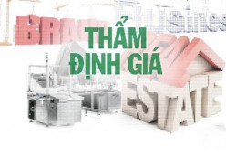 Lô đất ở tại các xã Tân Thanh, Tân Hưng, Yên Mỹ, An Hà, Hương Lạc, Nghĩa Hưng, Nghĩa Hòa và Tiên Lục, huyện Lạng Giang