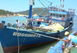 Tàu và hàng hóa trên tàu