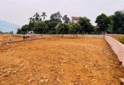 Quyền sử dụng đất Phùng Xá, Thạch Thất