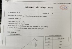 Giá trị quyền sử dụng đất trồng lúa nước, vùng 2, tại thửa đất số 106, tờ bản đồ số 45, GCNQSDĐ số AM 420732 do UBND huyện Hòa An cấp. Địa chỉ: Xóm Nà Tổng, xã Hồng Nam, huyện Hòa An, tỉnh Cao Bằng. Diện tích: 244 m2