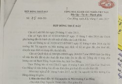 1. Tài sản gắn liền với đất: *Cây chè trong vùng nguyên liệu trồng cây chè: Tổng diện tích cây chè của công ty cổ phần Chè ô long Thuận Phú đã trồng 55.406,3m2, trong đó: 17.116,9m2 là diện tích cây chè trồng trong khu vực đất được nhà nước cho thuê đất t