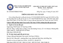 Thông báo đấu giá tài sản số 419/2025/TBĐG/VNOA, ngày 17/01/2025 của Công ty Đấu giá Hợp danh Trực tuyến Việt Nam (VNOA)
